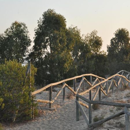Residencial El Pinet Beach La Mariña المظهر الخارجي الصورة