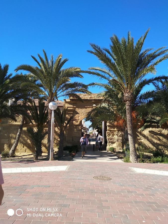 Residencial El Pinet Beach La Mariña المظهر الخارجي الصورة